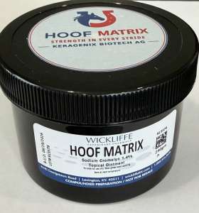 Hoof Matrix Topical Ointment (240 gm)